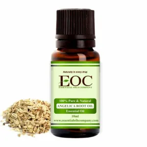 Angelica Root Essential Oil