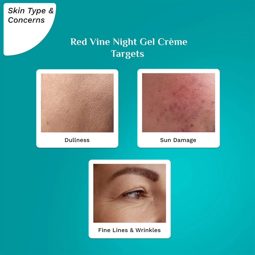 Red Vine Night Gel Crème with Retinol, Mulberry & Vit. C